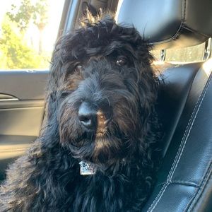 Meet your Posher, Val